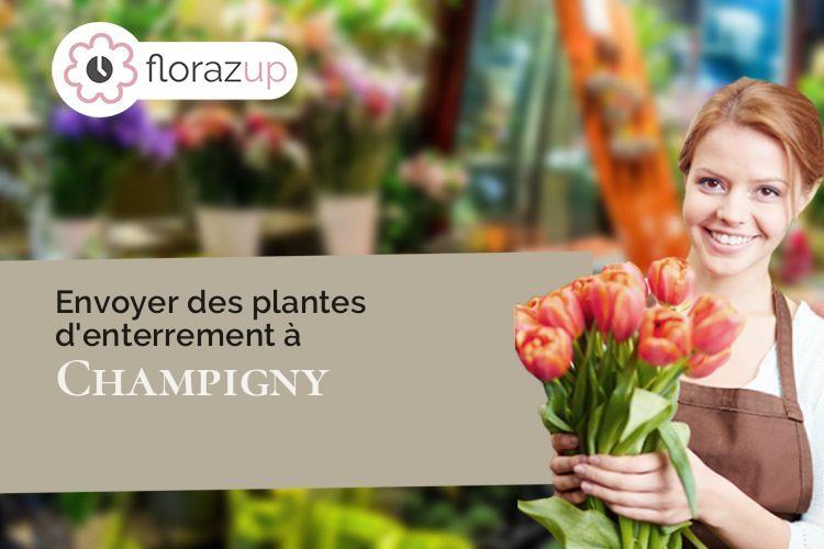 bouquets de fleurs pour un deuil à Champigny (Marne/51370)