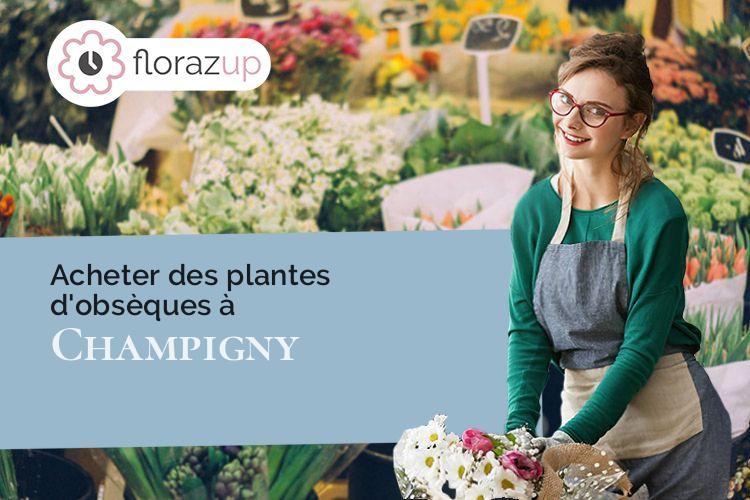couronnes florales pour des funérailles à Champigny (Yonne/89340)