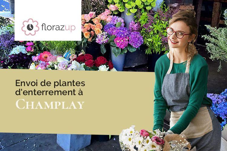 compositions de fleurs pour un enterrement à Champlay (Yonne/89300)