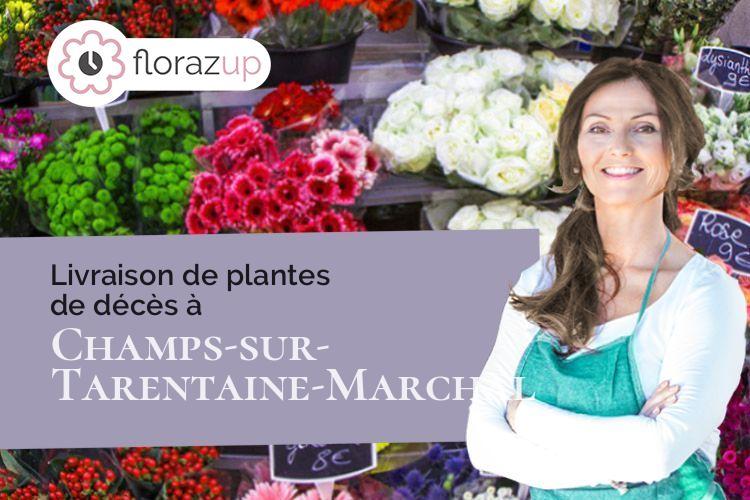 plantes pour des obsèques à Champs-sur-Tarentaine-Marchal (Cantal/15270)