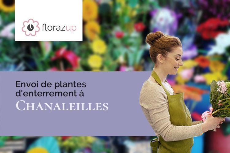 compositions de fleurs pour un décès à Chanaleilles (Haute-Loire/43170)