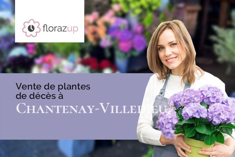 couronnes de fleurs pour un décès à Chantenay-Villedieu (Sarthe/72430)