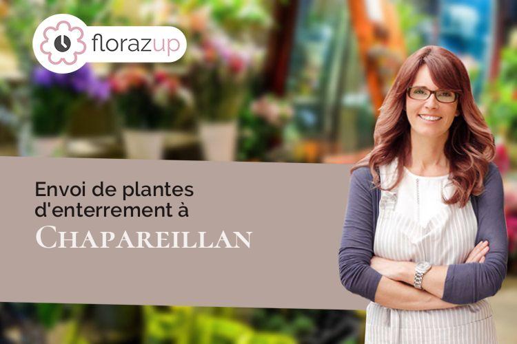 plantes pour un enterrement à Chapareillan (Isère/38530)