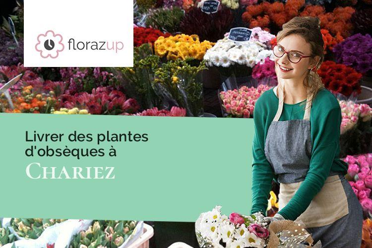 gerbes de fleurs pour un décès à Chariez (Haute-Saône/70000)