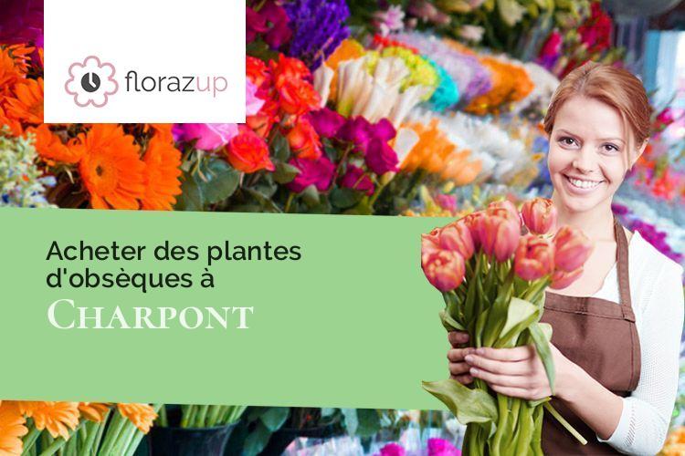 plantes pour un enterrement à Charpont (Eure-et-Loir/28500)