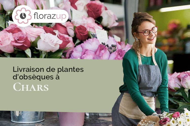 coeur de fleurs pour un enterrement à Chars (Val-d'Oise/95750)