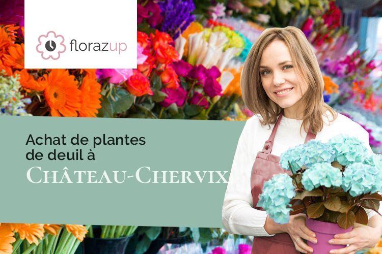 créations de fleurs pour un deuil à Château-Chervix (Haute-Vienne/87380)