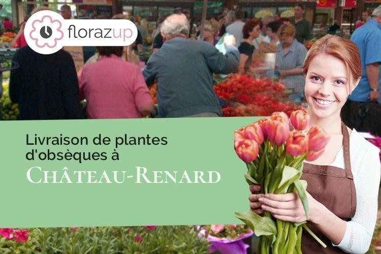 compositions florales pour une crémation à Château-Renard (Loiret/45220)