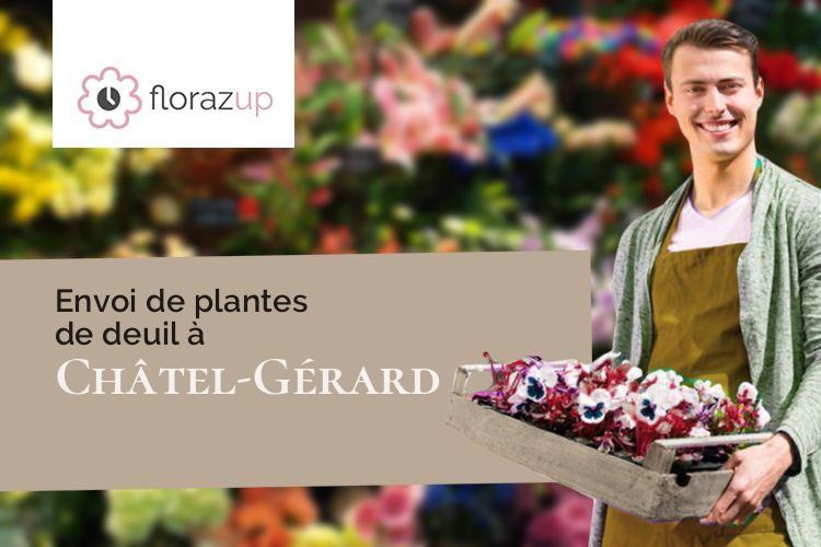 compositions florales pour des funérailles à Châtel-Gérard (Yonne/89310)