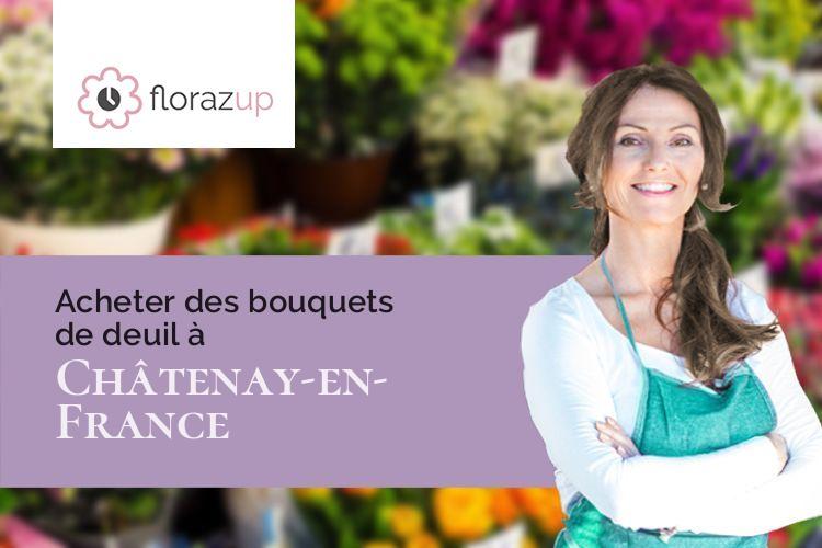 couronnes florales pour des funérailles à Châtenay-en-France (Val-d'Oise/95190)