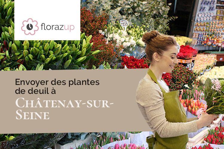gerbes de fleurs pour un décès à Châtenay-sur-Seine (Seine-et-Marne/77126)
