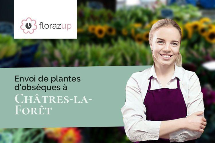 compositions florales pour un décès à Châtres-la-Forêt (Mayenne/53600)