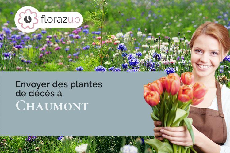 coupes de fleurs pour un décès à Chaumont (Haute-Marne/52000)