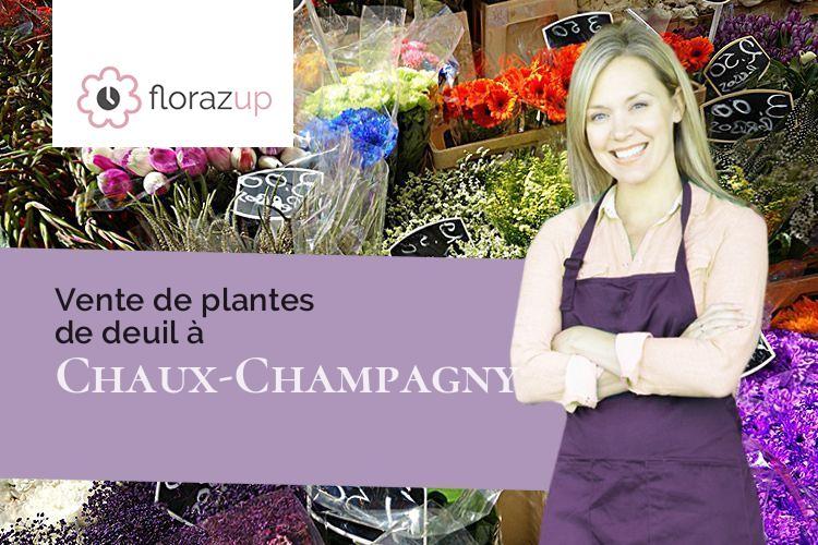 coeurs de fleurs pour un décès à Chaux-Champagny (Jura/39110)
