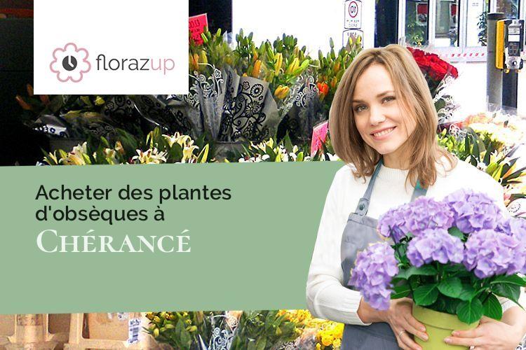 compositions florales pour des obsèques à Chérancé (Mayenne/53400)