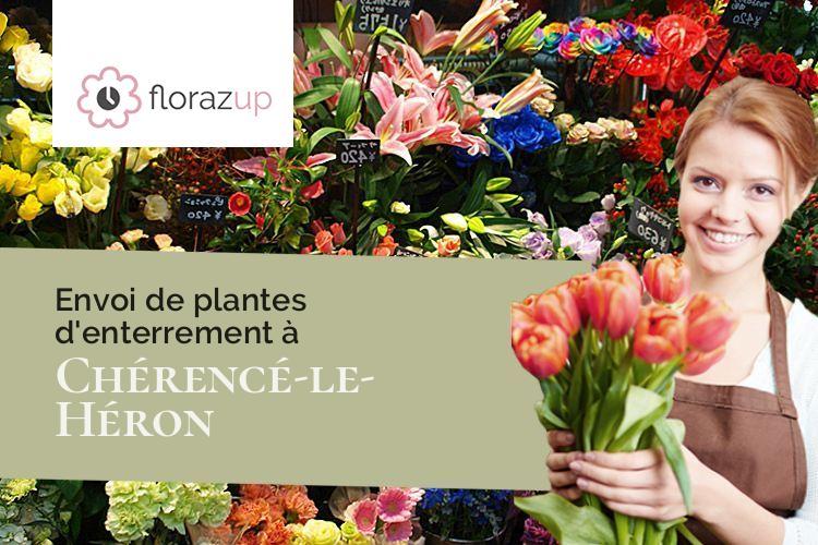 couronnes de fleurs pour des obsèques à Chérencé-le-Héron (Manche/50800)