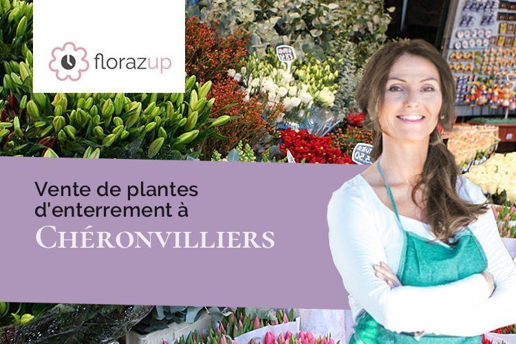 couronnes de fleurs pour un enterrement à Chéronvilliers (Eure/27250)