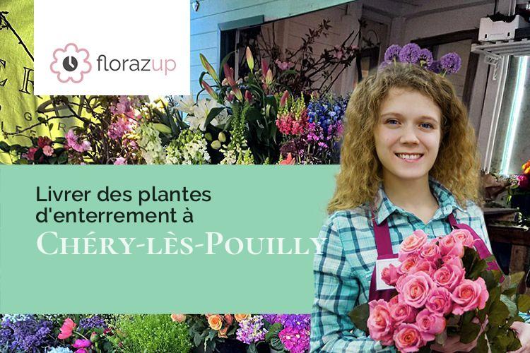 couronnes florales pour un enterrement à Chéry-lès-Pouilly (Aisne/02000)
