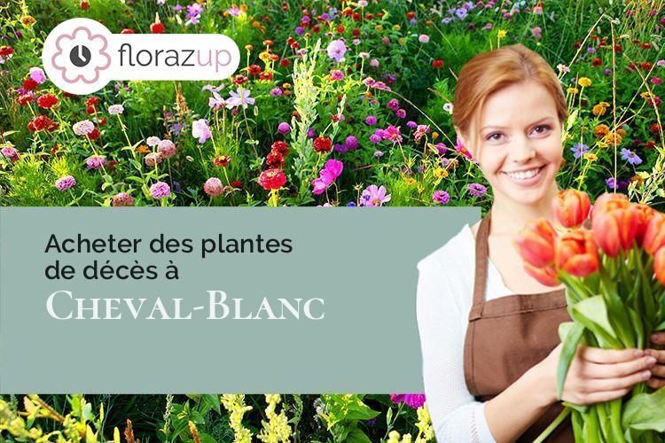 plantes pour un décès à Cheval-Blanc (Vaucluse/84460)