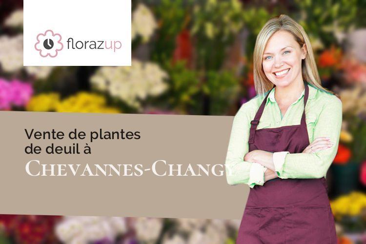 compositions florales pour un décès à Chevannes-Changy (Nièvre/58420)