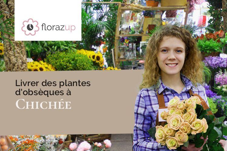 plantes pour une crémation à Chichée (Yonne/89800)