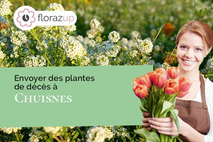 fleurs deuil pour des obsèques à Chuisnes (Eure-et-Loir/28190)