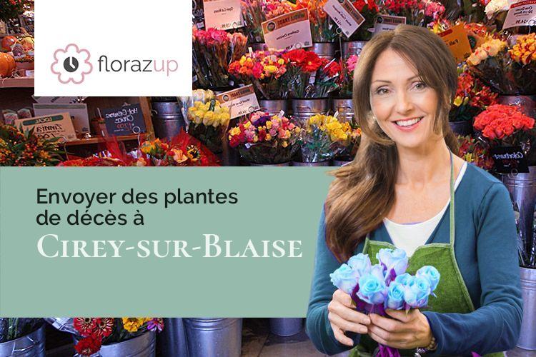 coeurs de fleurs pour un deuil à Cirey-sur-Blaise (Haute-Marne/52110)