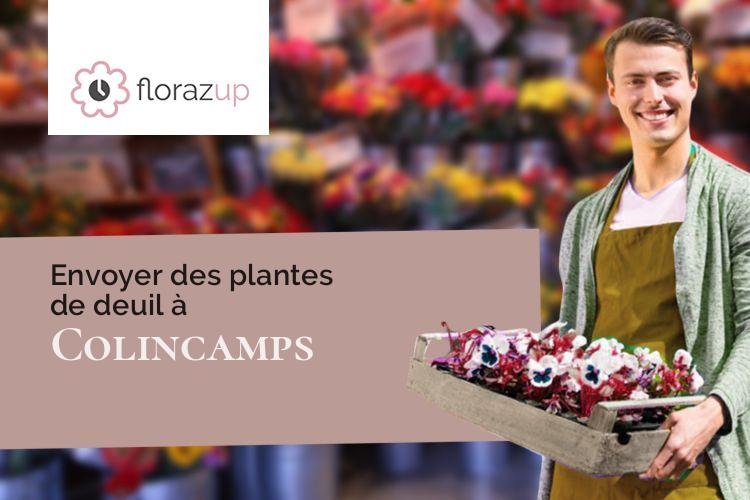 couronnes florales pour un décès à Colincamps (Somme/80560)