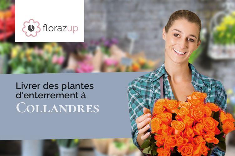 plantes pour un enterrement à Collandres (Cantal/15400)