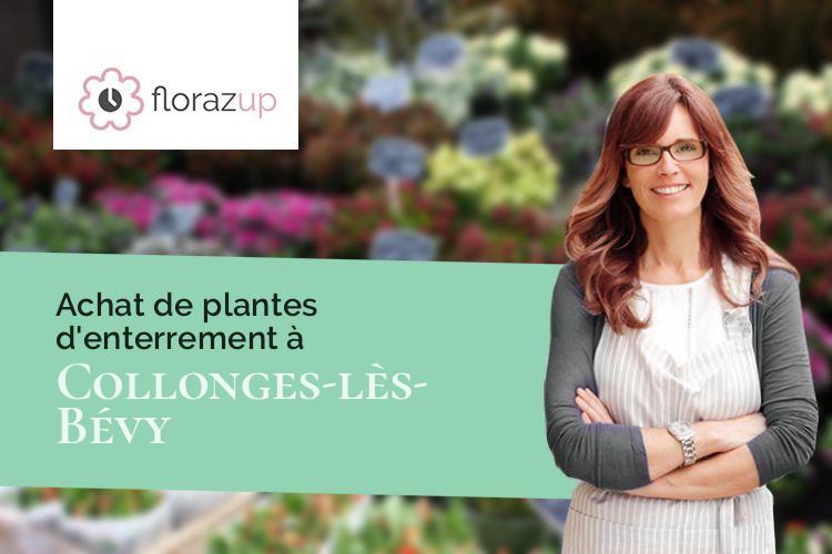 couronnes de fleurs pour une crémation à Collonges-lès-Bévy (Côte-d'Or/21220)