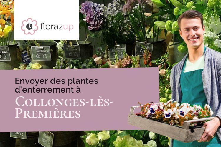plantes pour des obsèques à Collonges-lès-Premières (Côte-d'Or/21110)