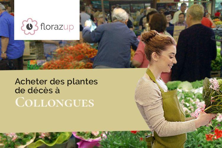 bouquets de fleurs pour des funérailles à Collongues (Alpes-Maritimes/06910)