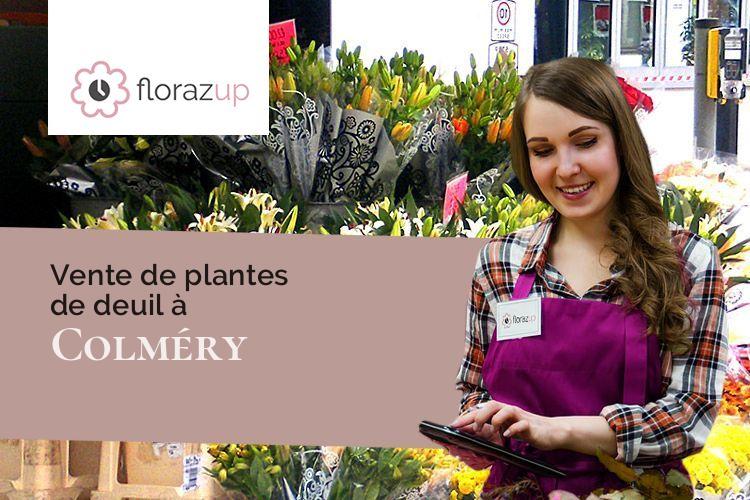 plantes pour un décès à Colméry (Nièvre/58350)