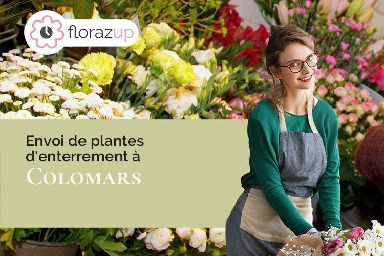 compositions florales pour un enterrement à Colomars (Alpes-Maritimes/06670)