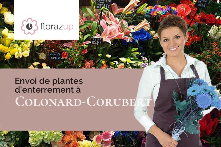 couronnes florales pour un décès à Colonard-Corubert (Orne/61340)