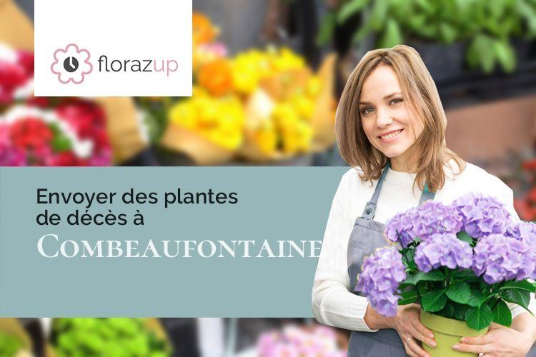 plantes pour un enterrement à Combeaufontaine (Haute-Saône/70120)