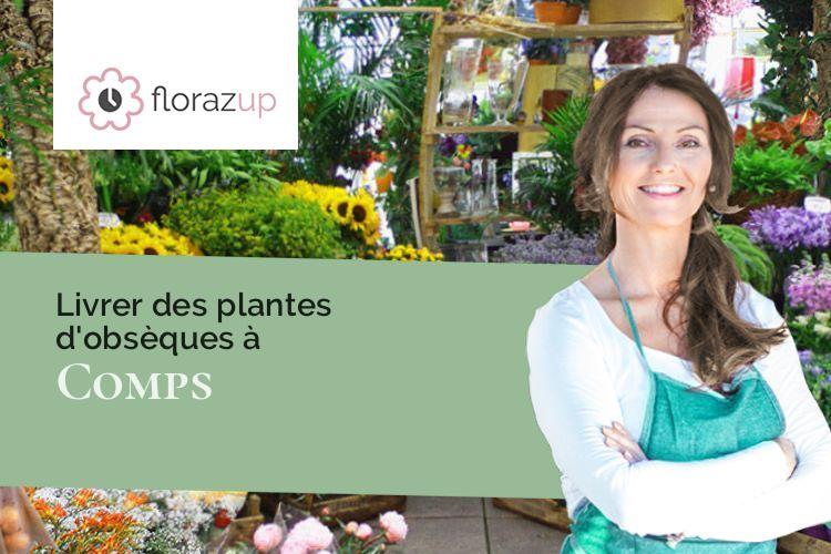 compositions de fleurs pour un deuil à Comps (Drôme/26220)