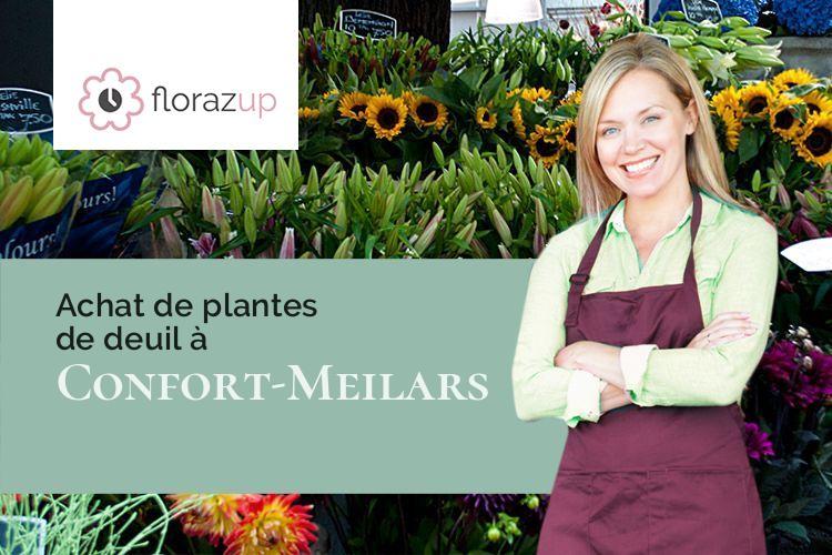 coupes de fleurs pour un deuil à Confort-Meilars (Finistère/29790)