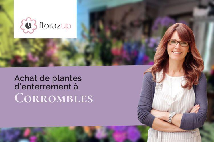 plantes pour un enterrement à Corrombles (Côte-d'Or/21460)