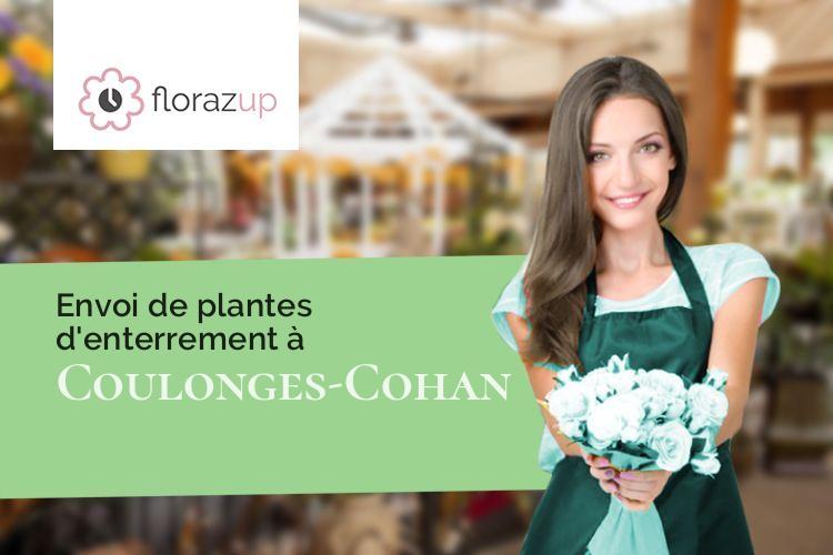 coeurs de fleurs pour des obsèques à Coulonges-Cohan (Aisne/02130)