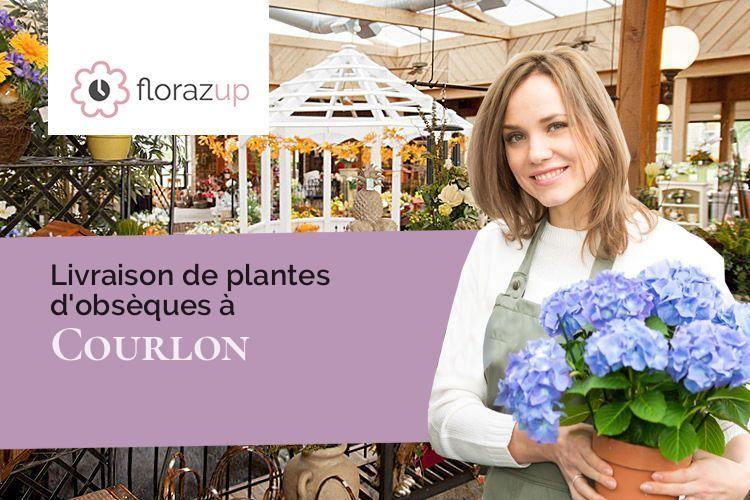 compositions florales pour un décès à Courlon (Côte-d'Or/21580)