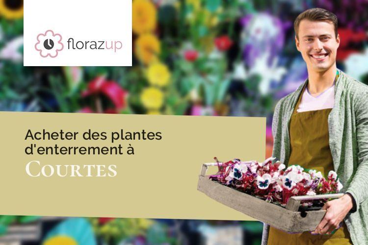 compositions de fleurs pour un deuil à Courtes (Ain/01560)