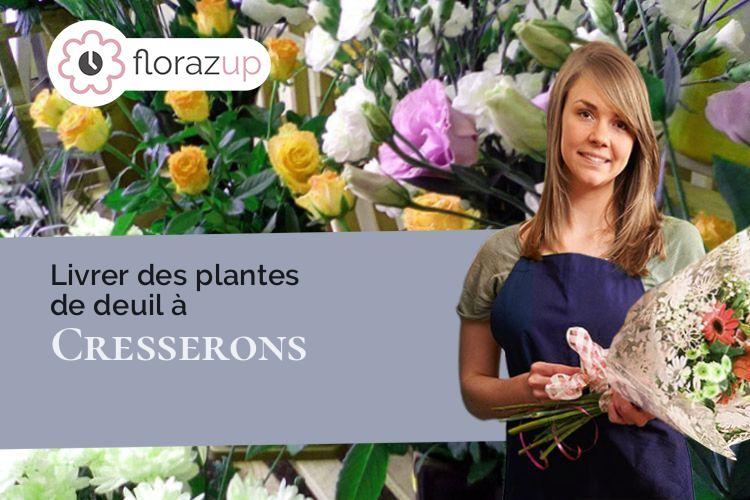 coeur de fleurs pour un deuil à Cresserons (Calvados/14440)