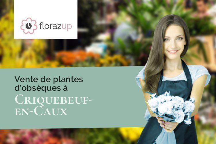 coupes de fleurs pour un décès à Criquebeuf-en-Caux (Seine-Maritime/76111)