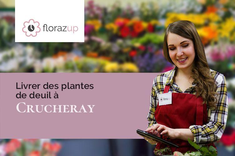 bouquets de fleurs pour un décès à Crucheray (Loir-et-Cher/41100)