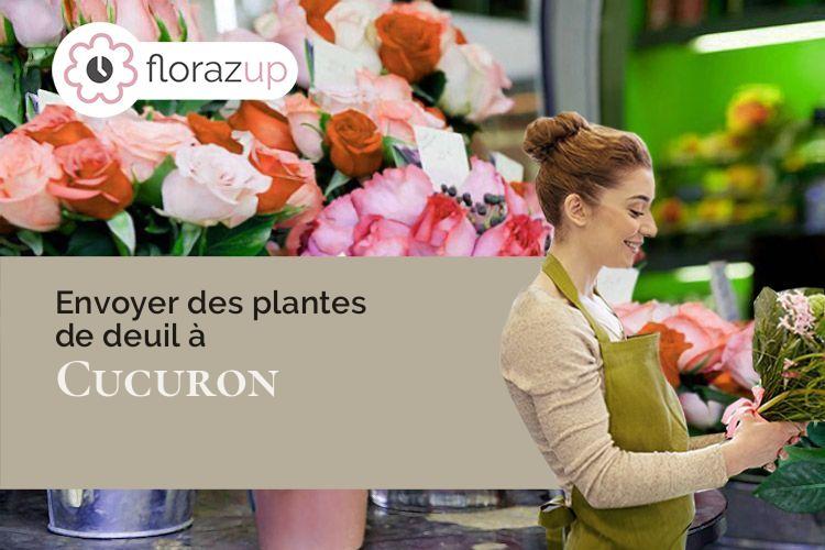 plantes pour des obsèques à Cucuron (Vaucluse/84160)