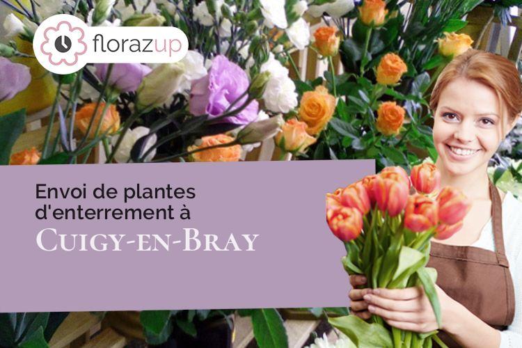 bouquets de fleurs pour un enterrement à Cuigy-en-Bray (Oise/60850)