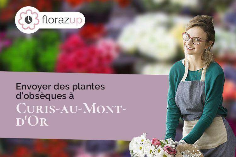compositions florales pour un deuil à Curis-au-Mont-d'Or (Rhône/69250)