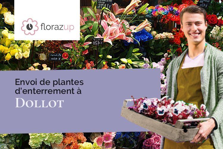 fleurs deuil pour un décès à Dollot (Yonne/89150)
