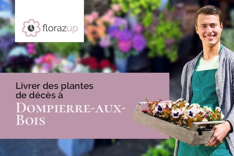 coupes de fleurs pour un décès à Dompierre-aux-Bois (Meuse/55300)